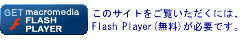 Flash Player̃_E[h(ʑ)